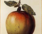 雷内马格里特 - 这不是一个苹果